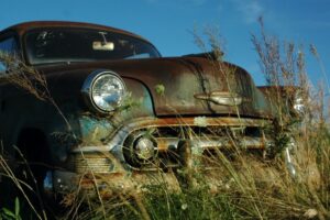 car junk bushes