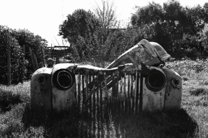 An abandoned car rotting away in a yard