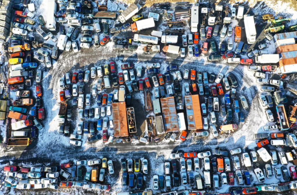 Rotting vehicles in a junkyard.